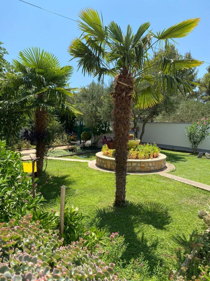 וודיצה Villa Chiara מראה חיצוני תמונה