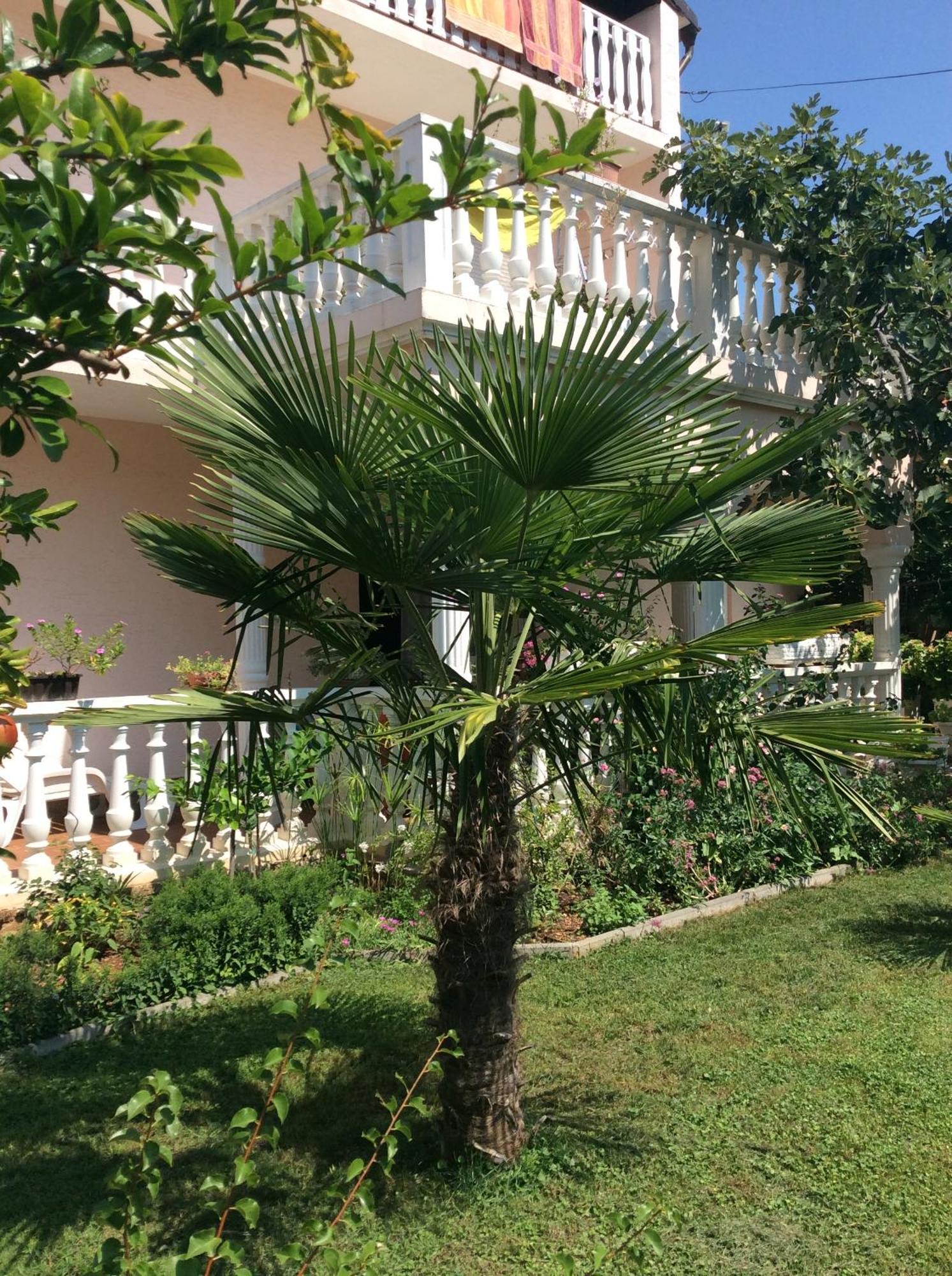 וודיצה Villa Chiara מראה חיצוני תמונה