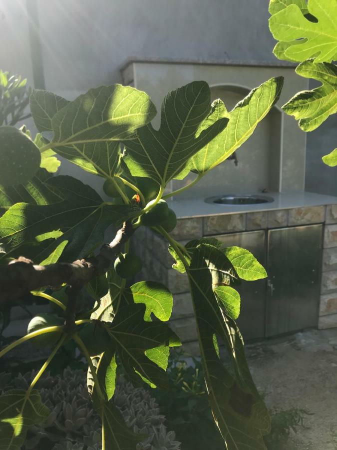 וודיצה Villa Chiara מראה חיצוני תמונה